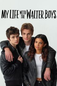My Life with the Walter Boys